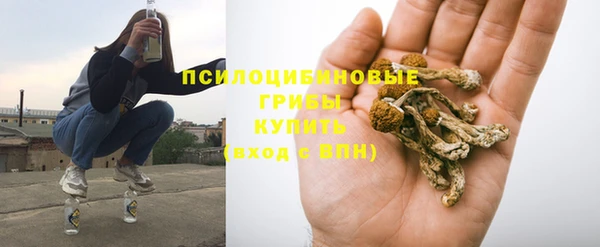 мескалин Алексин